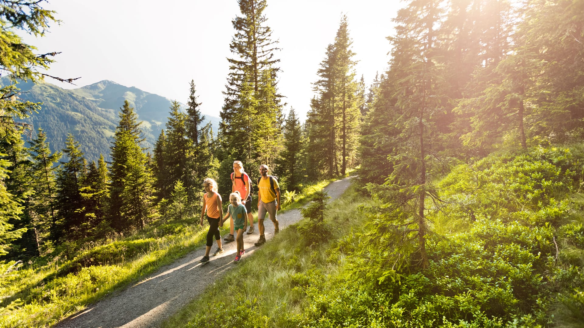 Wanderweg in Saalbach Hinterglemm durch die alpine Berglandschaft