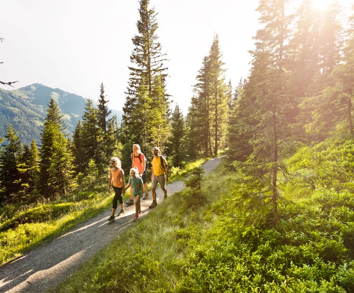 Wanderweg in Saalbach Hinterglemm durch die alpine Berglandschaft